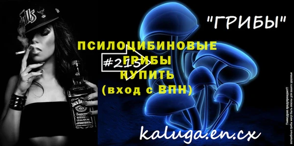 ECSTASY Алексеевка