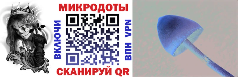 наркошоп  Арсеньев  Псилоцибиновые грибы Cubensis 